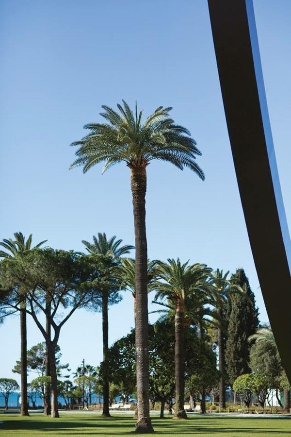 La Croix - F3, Terrasse Vue Panoramique, Vieux-Nice Old Town And Terrace المظهر الخارجي الصورة